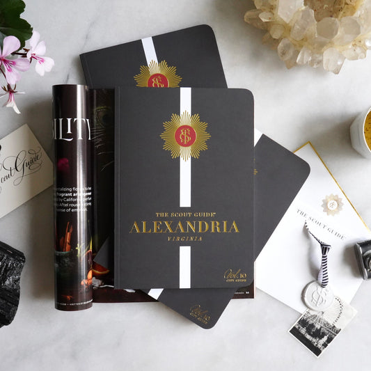The Scout Guide Alexandria Volume 10, black cover with white stripe, gold foil title and TSG Medallion logo