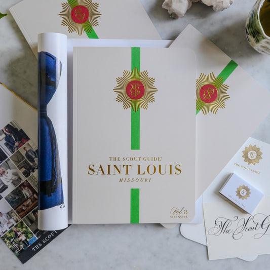 Saint Louis,  Volume 8