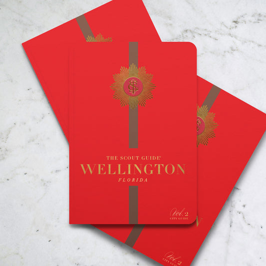 Wellington, Volume 2