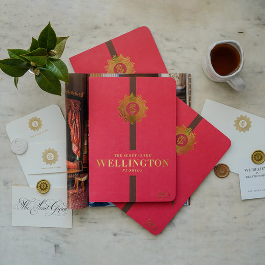 Wellington, Volume 2